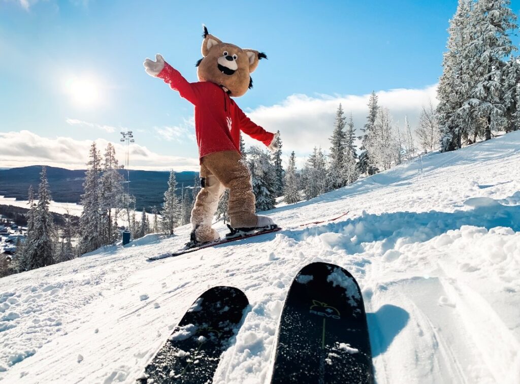 sun skis purple lo (1)