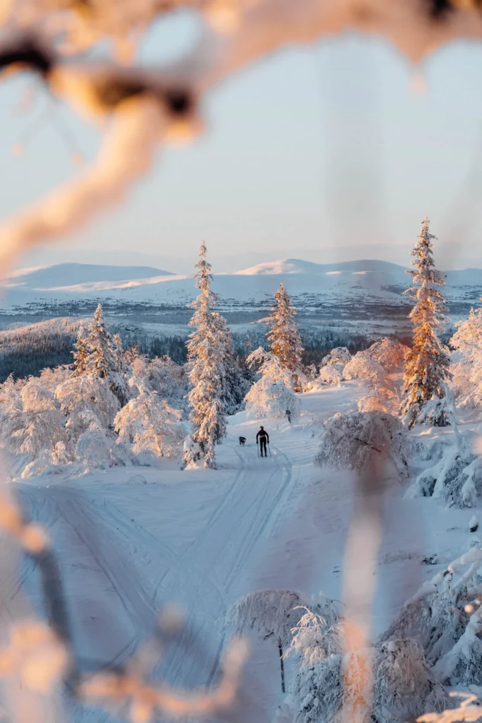 Gondola track - Funäsdalen